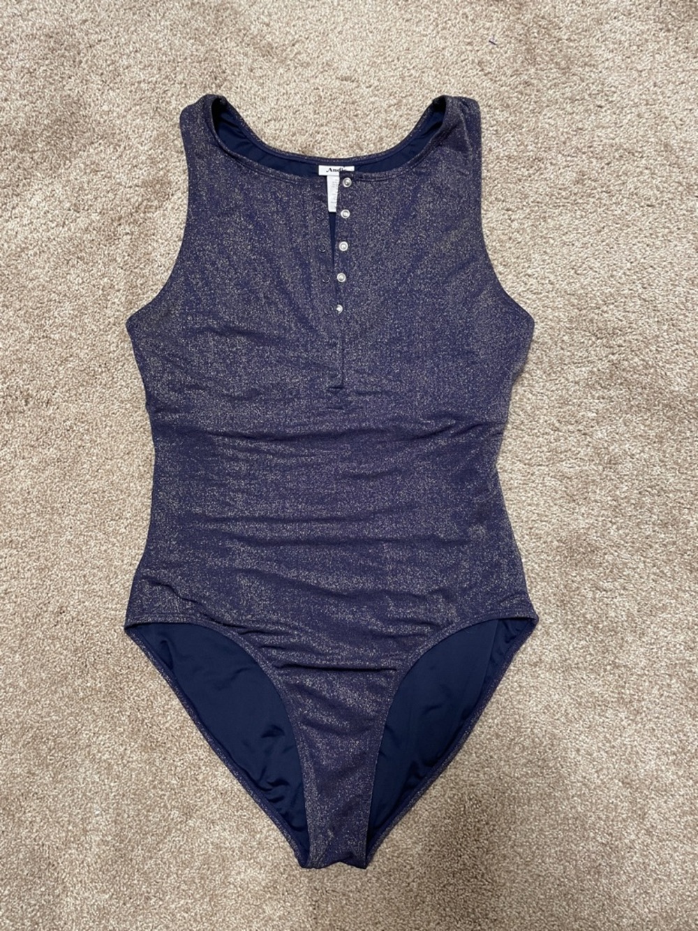Andie Navy Shimmer One-Piece Swimsuit